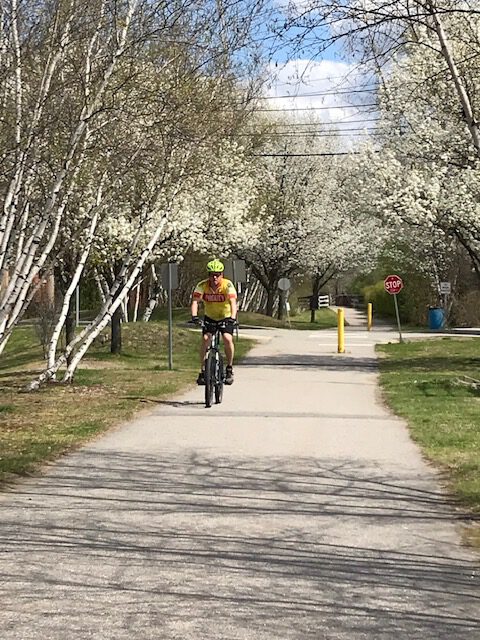 a cyclist on the Cheshire Rail Trail in the spring with flowering trees