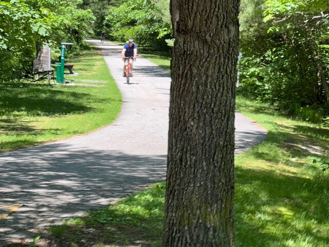 two cyclists approach a curve on a paved trail that features trees and a bench